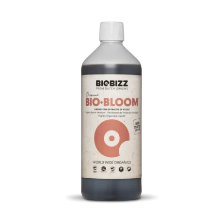 culture-hydroponique2643777