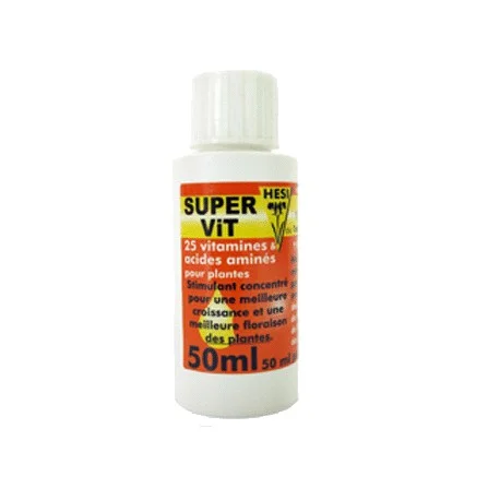 culture-hydroponique2645120
