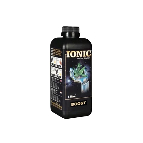 culture-hydroponique2645177