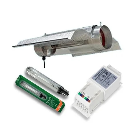 culture-hydroponique2645233