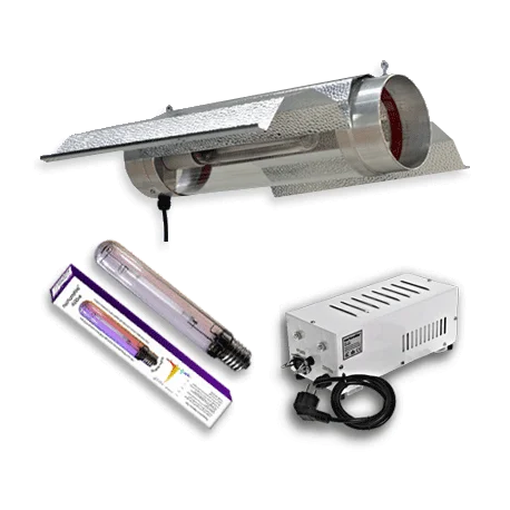 culture-hydroponique2645532