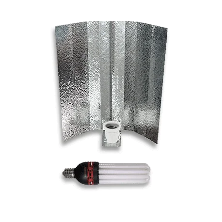 culture-hydroponique2645872
