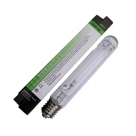 culture-hydroponique2646275
