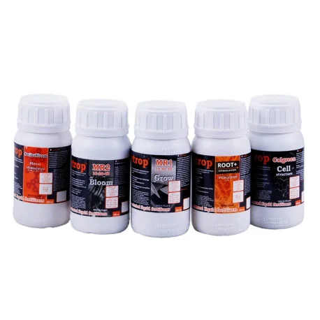 culture-hydroponique2646352