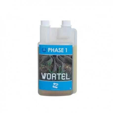 culture-hydroponique2647451