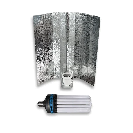 culture-hydroponique2648000