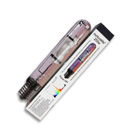 culture-hydroponique2648300