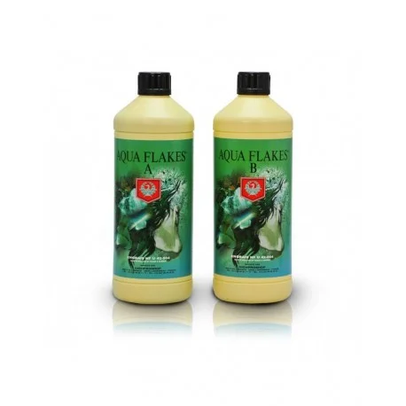 culture-hydroponique2649276