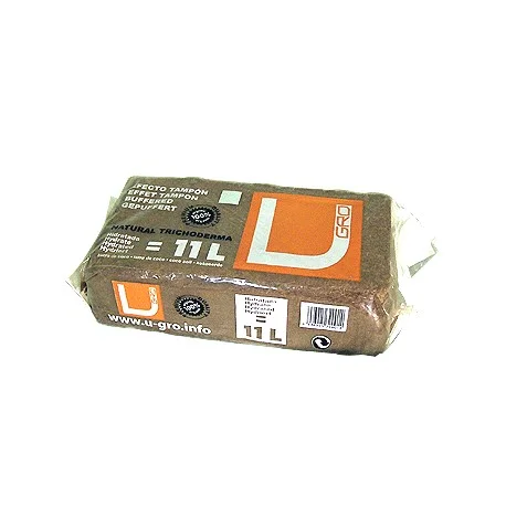 culture-hydroponique2653937