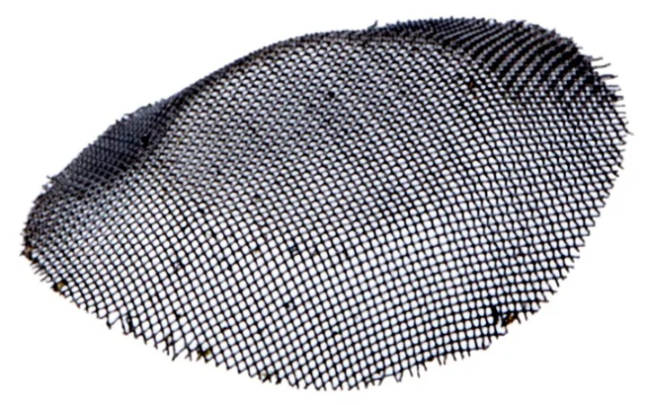 gplshop2858622