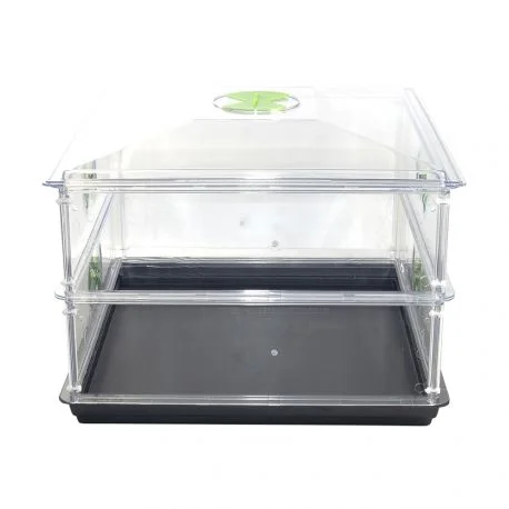 hydrozone2675202