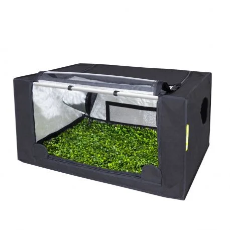 hydrozone2680444