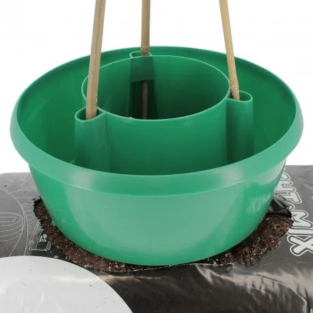 hydrozone2683044