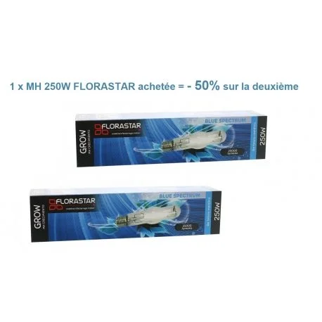 hydrozone2700335