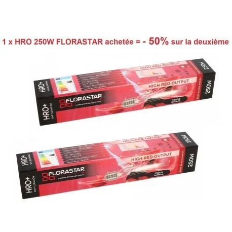 hydrozone2700397