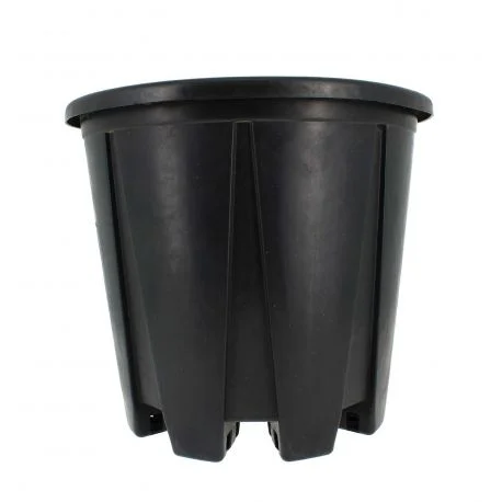 hydrozone2702641