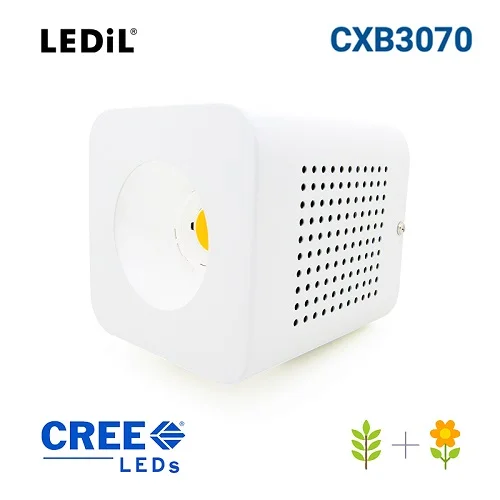 jardins-alternatifs-grenoble2700850