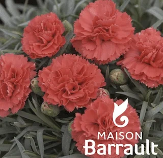 jardins-alternatifs-grenoble2767183