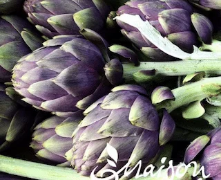jardins-alternatifs-grenoble2767271