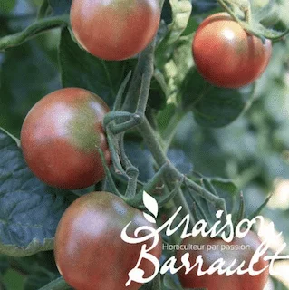 jardins-alternatifs-grenoble2767288