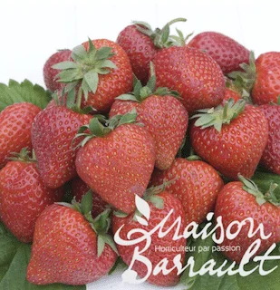 jardins-alternatifs-grenoble2767550