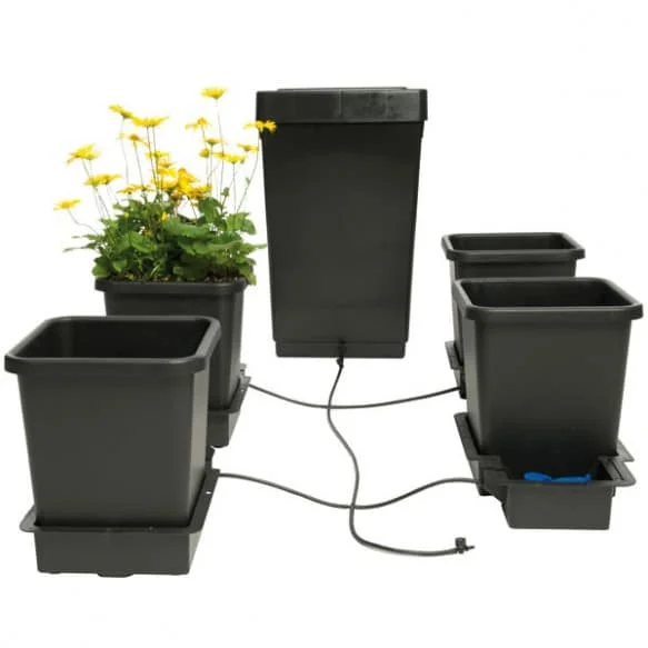 jardins-alternatifs-grenoble2775811