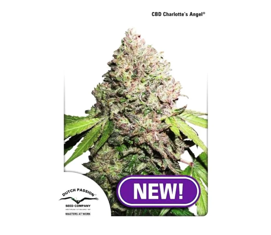 lahuertagrowshop2677892