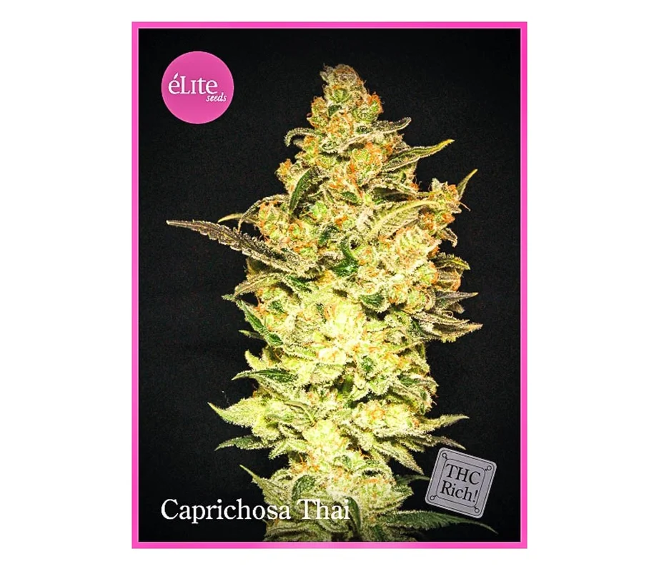 lahuertagrowshop2686146