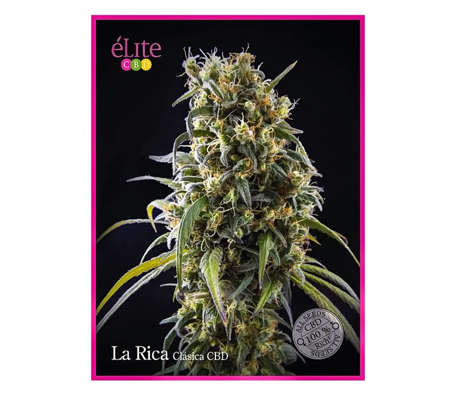 lahuertagrowshop2686347