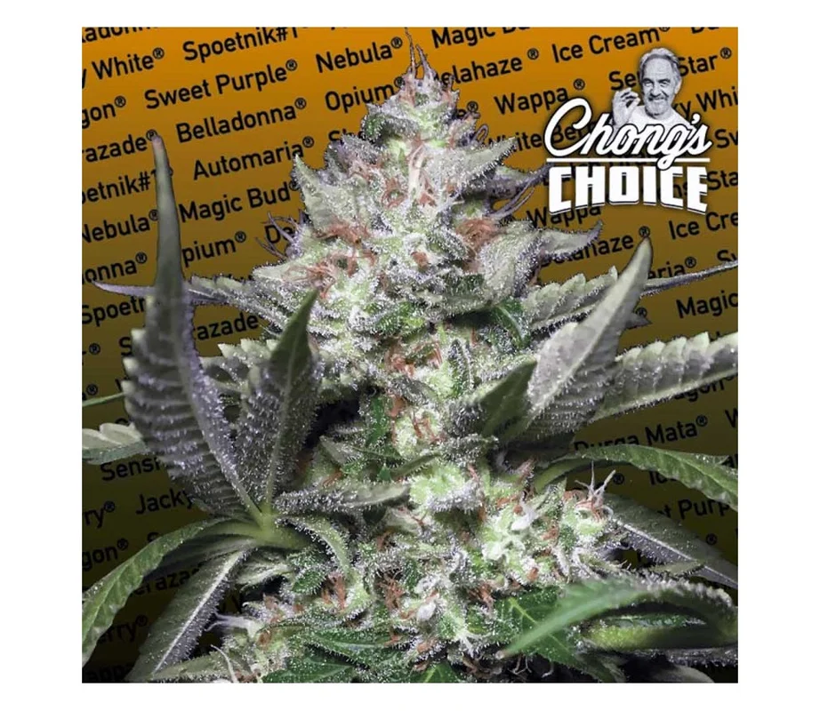 lahuertagrowshop2690018