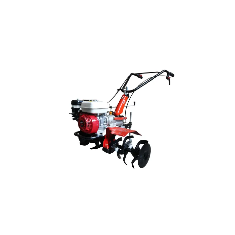 newgardenstore-12769983