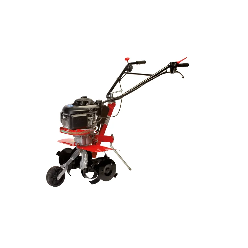 newgardenstore-12770115
