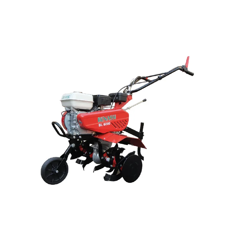 newgardenstore-12770178