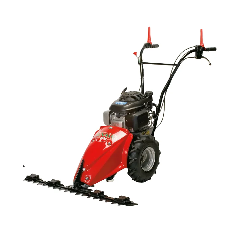 newgardenstore-12770294