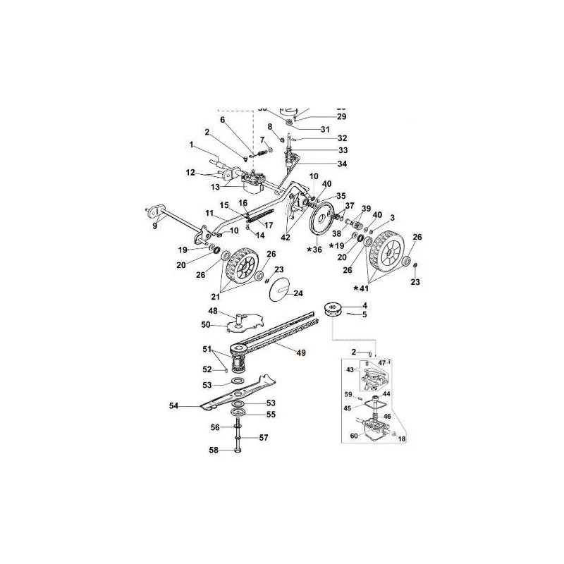 newgardenstore-13057343