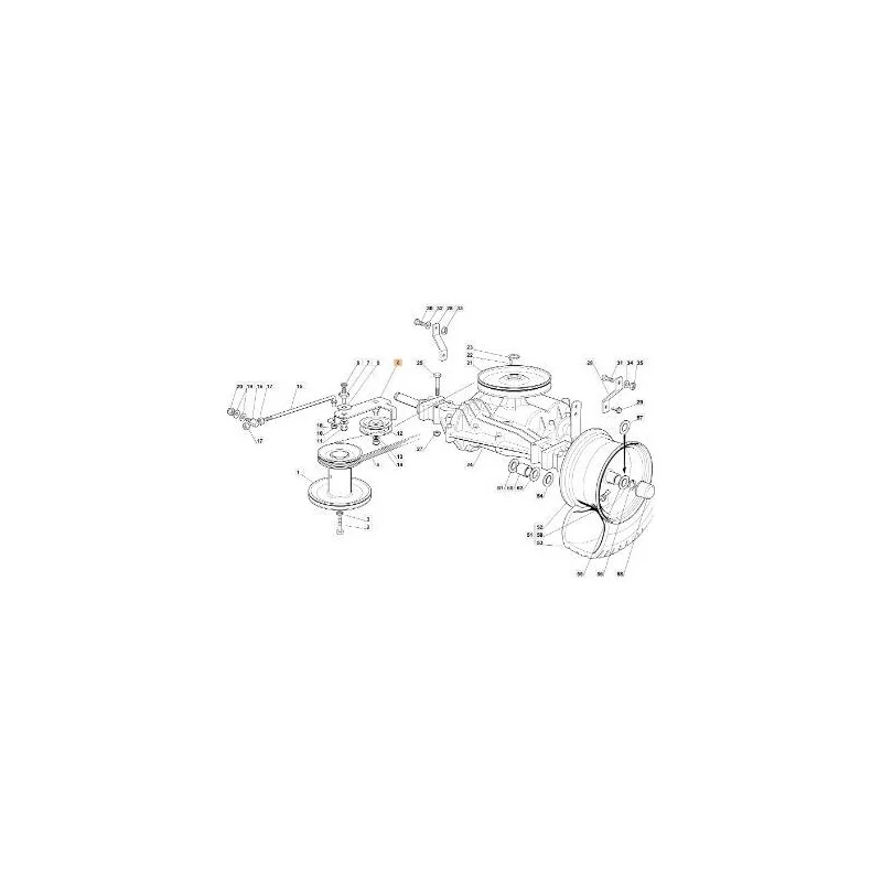 newgardenstore-13066452