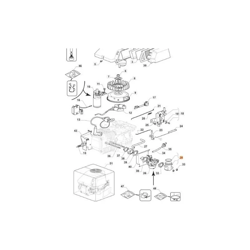 newgardenstore-13083914