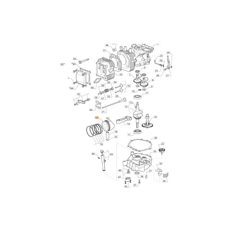 newgardenstore-13097855