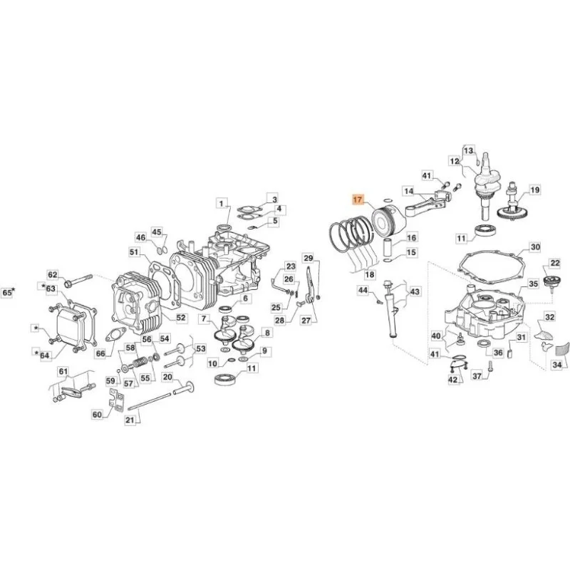 newgardenstore-13100067