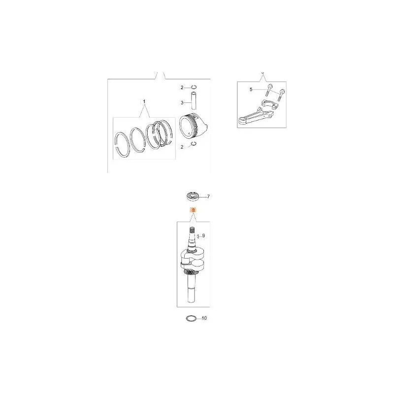 newgardenstore-13101676