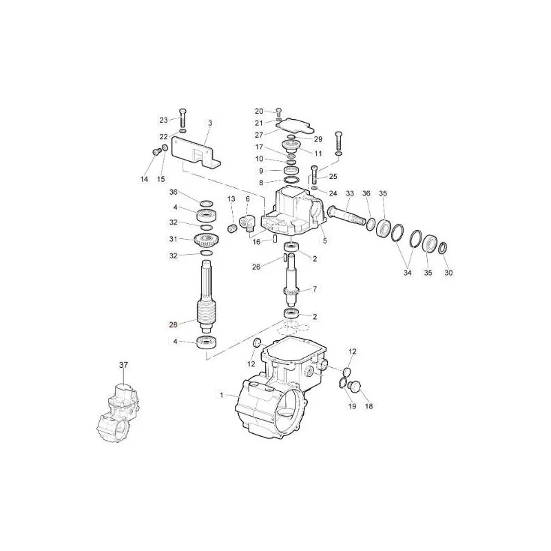 newgardenstore-13110088