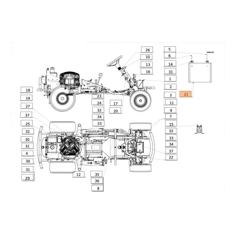 newgardenstore-13113316