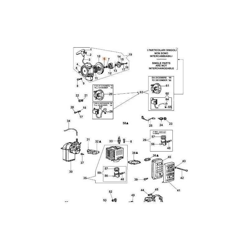 newgardenstore-13118707