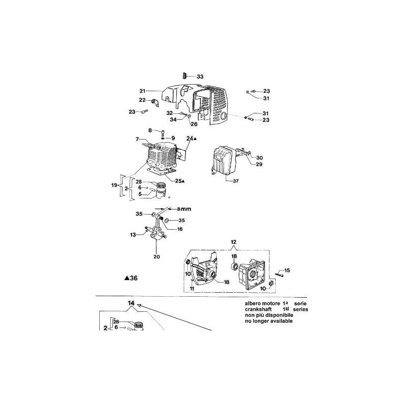 newgardenstore-13123135
