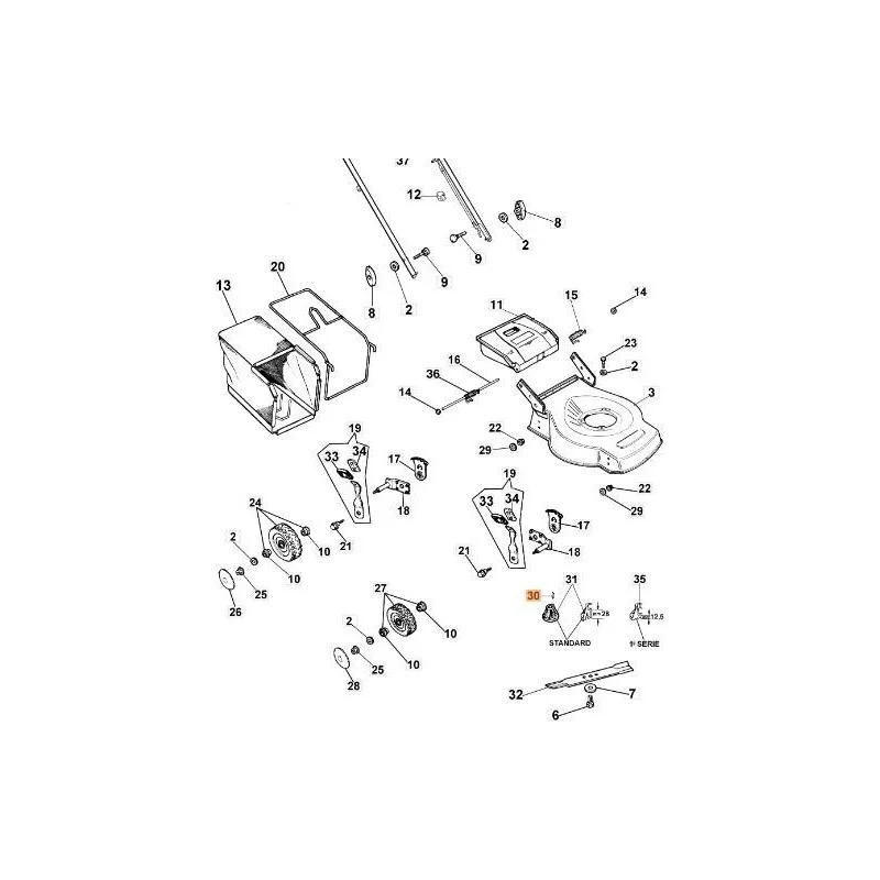 newgardenstore-13126305