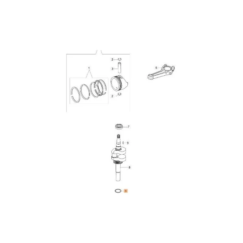 newgardenstore-13128467