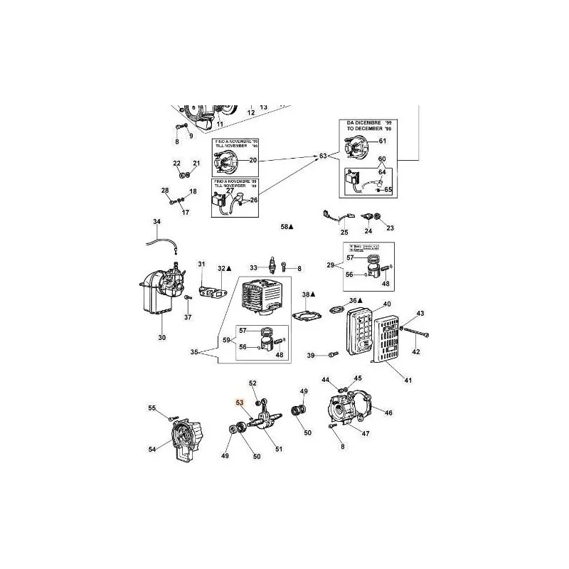 newgardenstore-13131866
