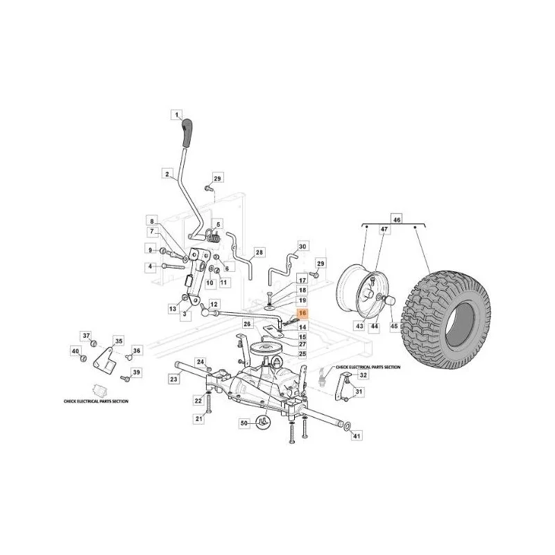 newgardenstore-13134697