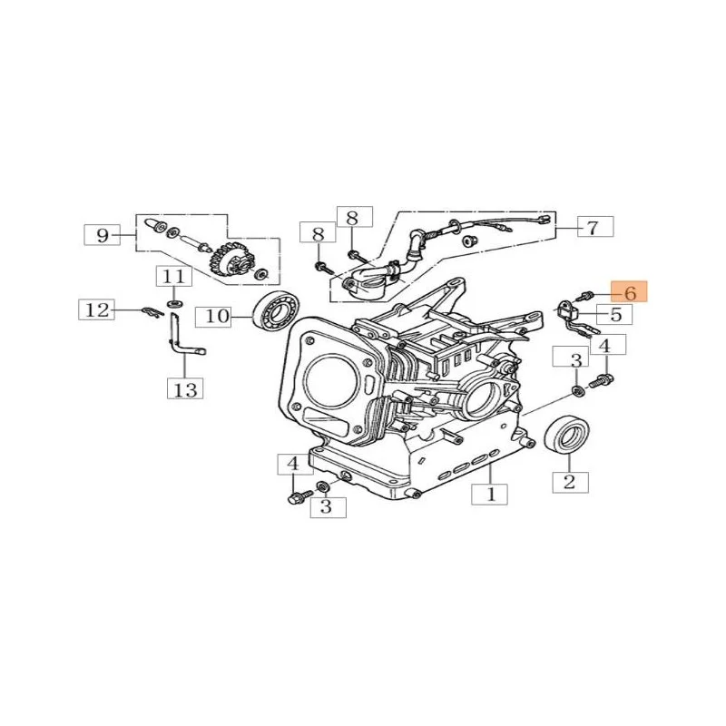 newgardenstore-13149785