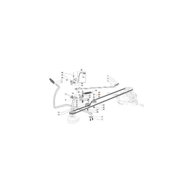 newgardenstore-13155191